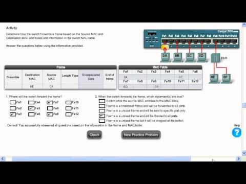 6- CCNA Tutorial: Networking Switch case 6 (CCNA)