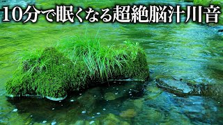 自然の音って最高！超絶眠くなる川の音でたっぷり癒されてください！