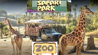 The Wild Journey: Safari & Zoo Experience | Wildlife Adventure by AJFoodAndTrends