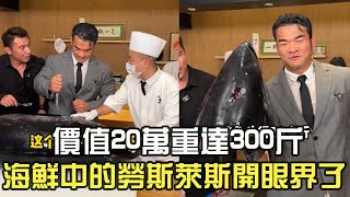 价值20万重达300斤，海鲜中的劳斯莱斯到底啥样？今天开眼了！#李维刚#美食vlog #金枪鱼#日常vlog