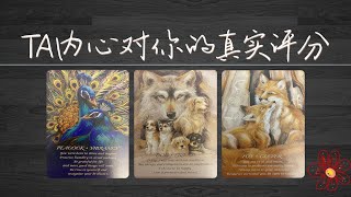 TA内心深處對你的真實評分，隱藏好感度vs表面態度（含暗示信號）   |曖昧|愛情|戀愛|桃花|塔羅占卜|