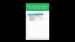 How to Format Phone Numbers in Excel Using TEXT Function #shorts