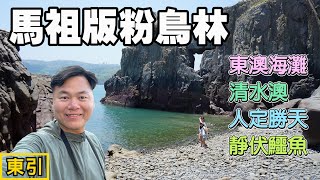 【狂遊馬祖 ep6】東引的西引島實在太美了！還找到了馬祖版的粉鳥林秘境！並逛一逛其他特色景點及吃特色美食！ | 西引東澳海灘、清水澳、西引人定勝天、靜伏鱷魚、魚多多海鮮料理