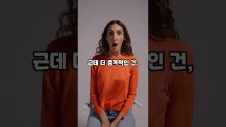 카메라 감독한테 욕한 배우 실화 #연예인갑질 #배우논란 #실화기반 #촬영현장