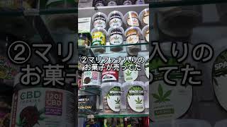 オランダに行って驚いたリアルな出来事【旅人目線】　#オランダ #アムステルダム #ヨーロッパ