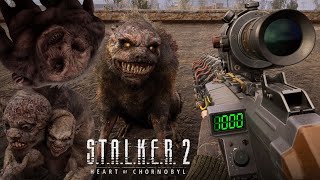 GAUSS GUN vs ALL MUTANTS - S.T.A.L.K.E.R. 2: Heart of Chornobyl