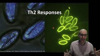 An introduction into the Th2 response