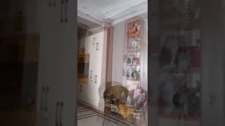 Roliga djurvideor 2023 😂 - Roligaste hundar och katter videor 😺😍 Försök att inte skratta!  #shorts