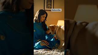 #shorts #labrador #shotsfeed #labradorlovers #shotsfeed