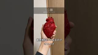 【一人暮らし必見】新生活にオススメのアイテム3選 #shorts