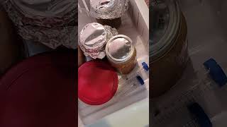 DIY Necrobotic Spider #shorts #necrobotic #spiders #bioengineering #science #diy #STEM