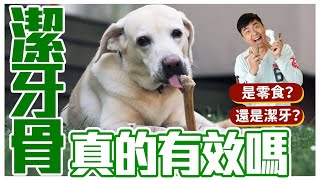 【熊爸估狗】潔牙骨對狗狗真的讚？｜鏡週刊