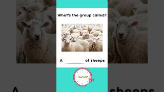 English Vocabulary #englishvocabulary #englishvocabularyforbeginners #englishwords #shorts #quiz