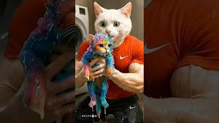 😹🌊🛀Dad Freaks Out-Kitten's Bath Turns Intoa Flood Nightmare! #cat #shorts