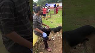 Caring towards pet animals #petdog #pets #caring #love #ashramamvlogs #jimmy