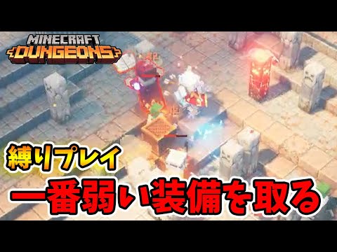 タワー縛りプレイ！一番弱い装備を取っていったけどランダム報酬より大分難しい！【マイクラダンジョンズ】【naotin】