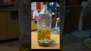 環保左手香酵素製作