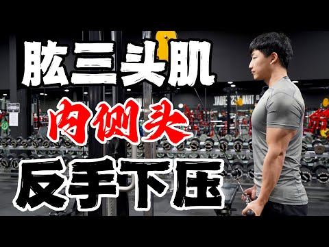 强化手臂线条，告别拜拜肉｜肱三头肌内侧头 (反手下压)