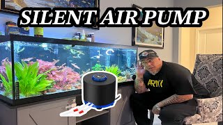 The Best Air Pump for your Aquarium #aquarium