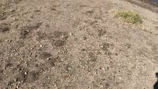 宮崎旅行　エピソード０　隕石のようなものをギリギリかわす瞬間