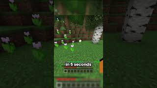 This can make millions on Donut SMP... #minecraft #donutsmp