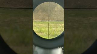 Ruger 10/22 150 Yard Accuracy Test With Cheap Scope #longrange #shooting