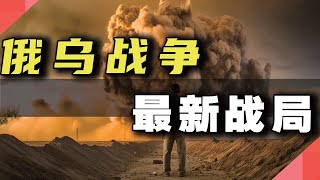 俄乌战争，新的变局