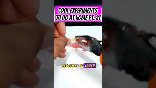 COOL EXPERIMENTS TO DO AT HOME PT. 21 #diy #experiment #coolexperiments #science #scienceexperiments
