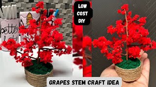 Grape stem craft idea | Grape stem diy | home decor | best out of waste #diy #trending #yt #youtube