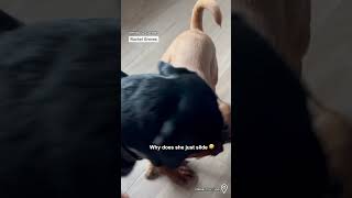 She just accepted her fate 😂