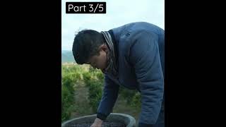 Part 3/5 - Fried melon seeds by ancient # #craft #ancient #shorts #fyp #viral #handwork #hardwork