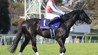 【東京ハイJ】ジューンベロシティが逃げ切りV！障害重賞連勝で暮れの大一番へ弾み｜競馬ニュース｜競馬予想のウマニティ