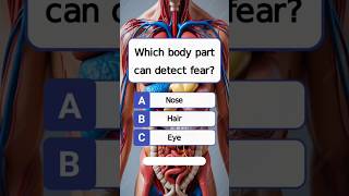 General Knowledge Quiz #shortsfeed #ytshorts #shortsbeta #quiz #youtubeshorts #generalknowledge