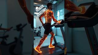 Last Day to Apply for Master of Sports Science Program! #iism #masterofsportsscience #careerinsports