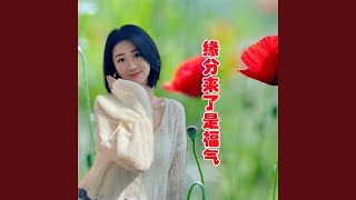 缘分来了是福气 (完整版)