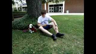 Pet Locator - Hall - 2012