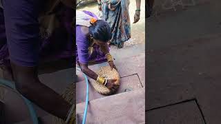 #నాగుల పంచమి షురూ#trending viral video shorts #telugusongs #music #trending 🙏🙏🙏🙏🙏