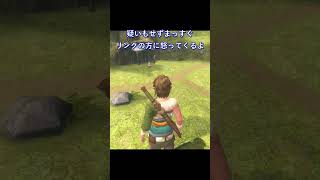 蜂の正確性 #shorts #ゼルダの伝説 #トワイライトプリンセス
