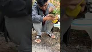 #PetLove