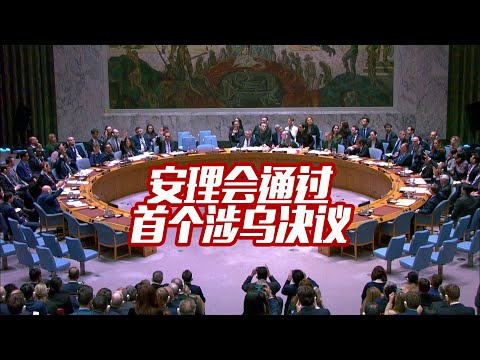 安理会通过首个乌克兰决议 中方发言