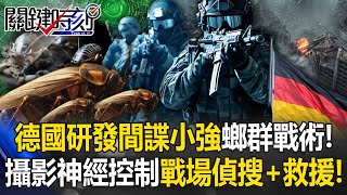 [ENG SUB]Germany unveils spy roaches! Camera + neural control for recon and rescue!