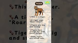 Know your ANIMAL- See and Learn #tiger #educationalvideo #toddlerlearning #beginnings #shorts