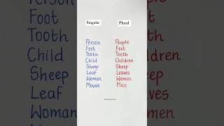Singular - Plural 💯✅ #english #studyhard #grammar