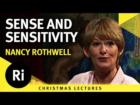 Sense and sensitivity - Nancy Rothwell's 1998 Christmas Lectures 1/5