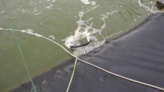 Fish farming roots blower
