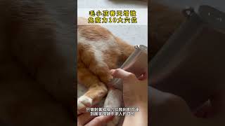 毛小孩春天增強免疫力10大穴位 #毛孩 #中醫養生 #毛孩健康的靠山  #經絡疏通 #穴位按摩 #低能量雷射 #養肝 #皮膚敏感 #毛小孩 #寵物