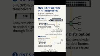 How SFP Works in FTTH Networks | OLT, Fiber Splitters & ONT Explained