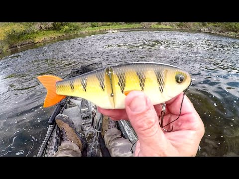 Glide Bait Fishing For River Pike!