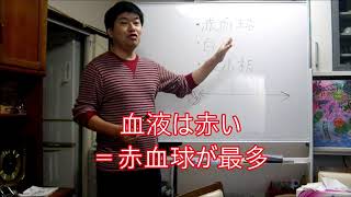 血液成分（中学理科Ⅱ、高校生物基礎）