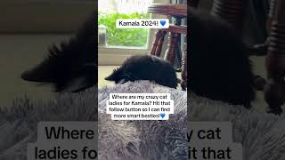 Cats, democracy, & election tips! #voteblue #voteblue2024 #harriswalz